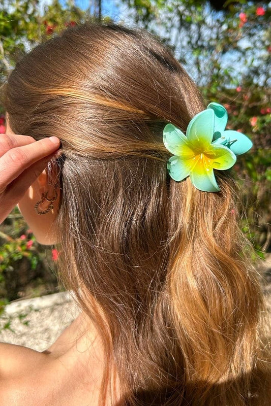 Pinza hawaiana grande